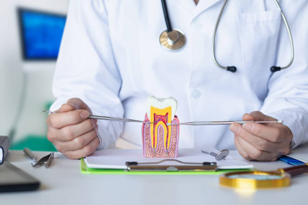 Professional Emergency Dental Service in CO
